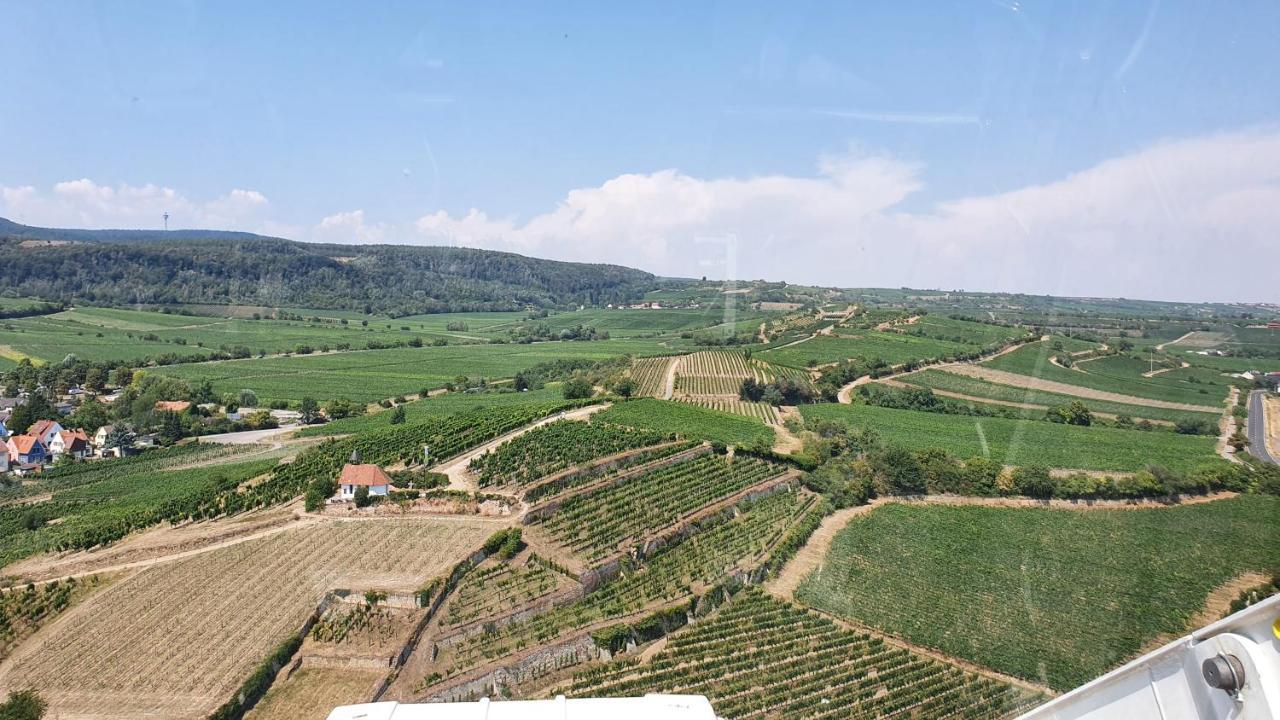 فندق Pension Ernst Im Herzen Des Pfaelzerwaldes Mit Kueche Elmstein المظهر الخارجي الصورة