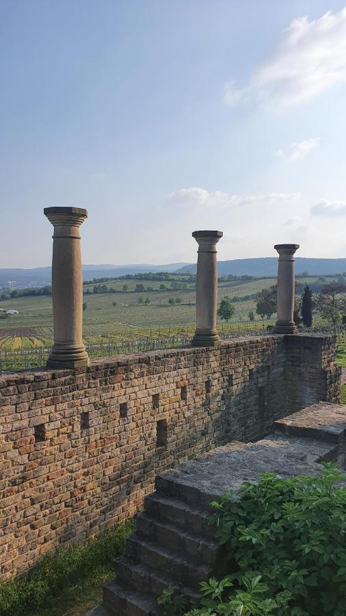 فندق Pension Ernst Im Herzen Des Pfaelzerwaldes Mit Kueche Elmstein المظهر الخارجي الصورة